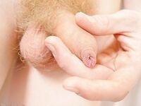 Hot twink shows off his fine ass and his uncut hairy cock